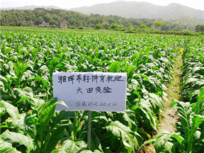 湘暉通用型有機(jī)肥案例