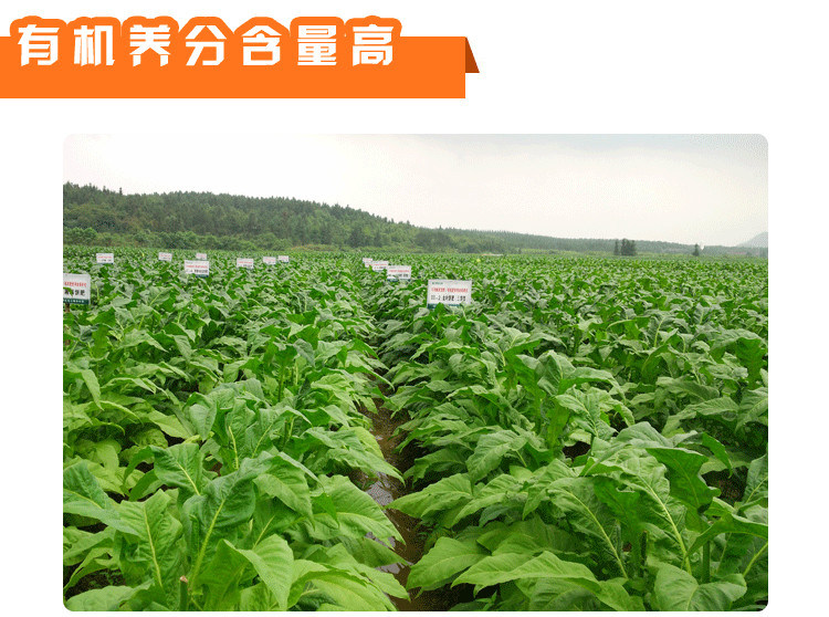 菜籽有機(jī)肥
