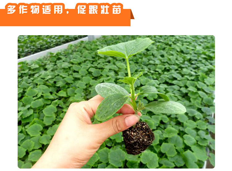營(yíng)養(yǎng)液