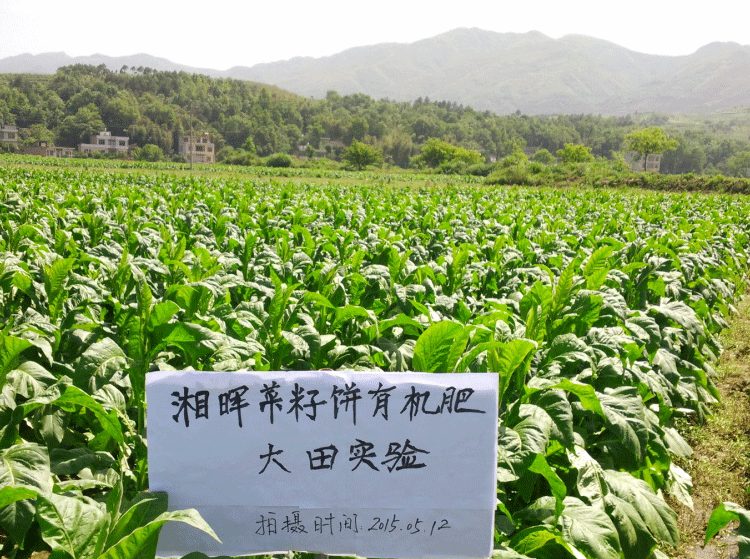 菜餅有機(jī)肥 種菜有機(jī)肥