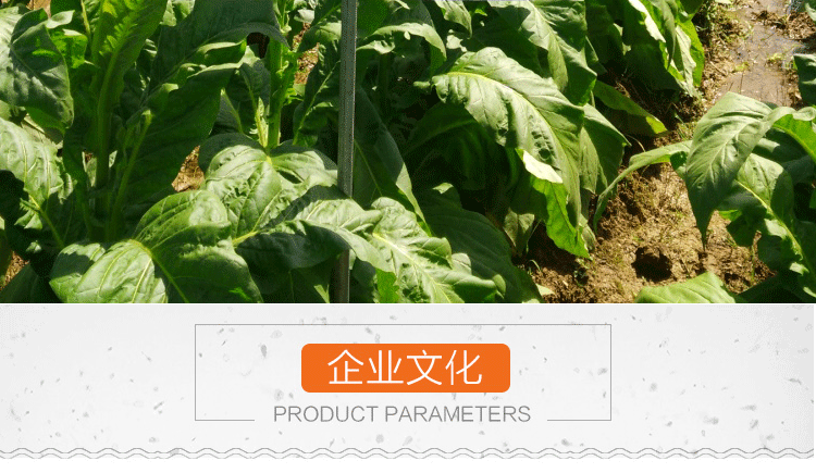 菜餅有機(jī)肥 種菜有機(jī)肥