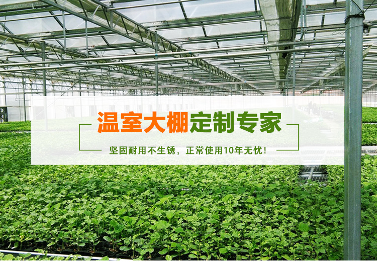 溫室大棚