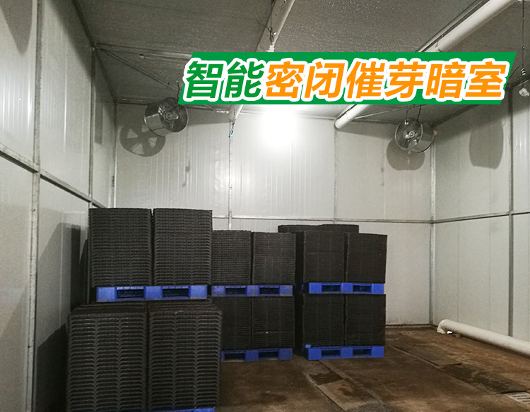 智能密閉催芽暗室