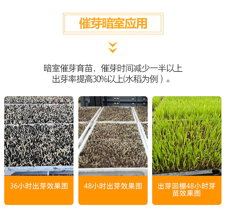 智能密閉催芽暗室應(yīng)用