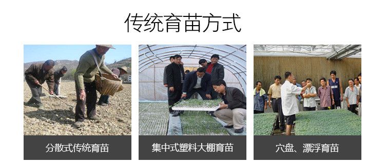 立體式智能育苗機(jī)