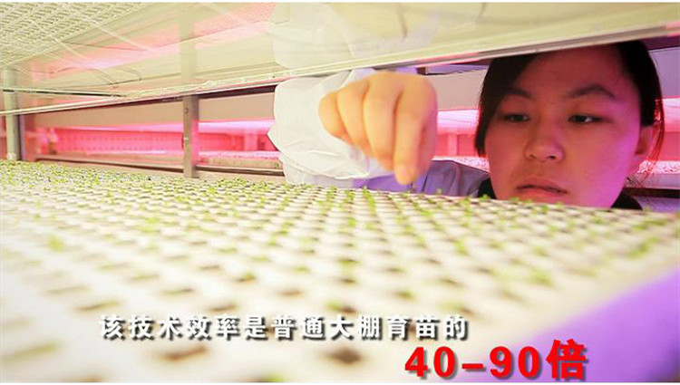 立體式智能育苗機(jī)